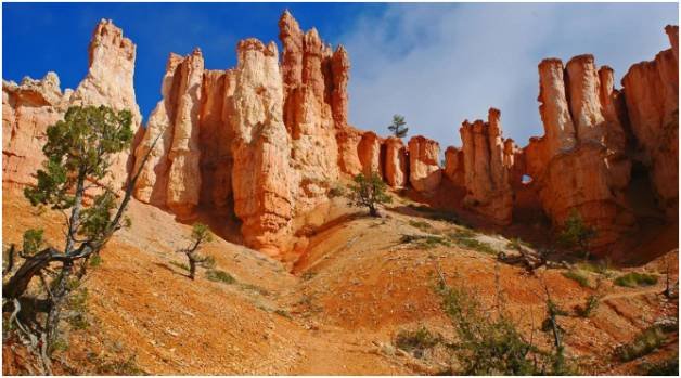 National Park Adventures in May