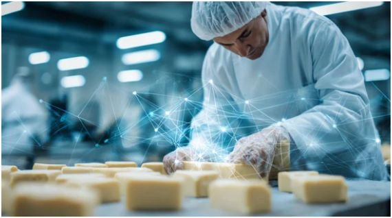 Navigating Legal and Safety Requirements