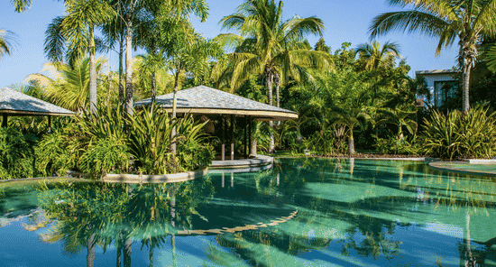 5 Simple Ways to Create a Greener Backyard Oasis