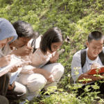 Brilliant Ideas for Engaging Outdoor Learning