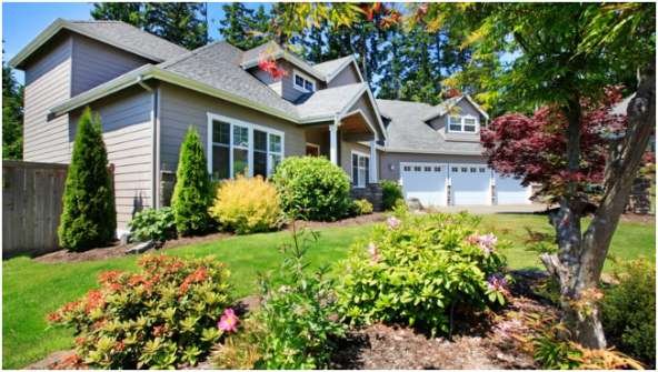 Curb Appeal and Durability