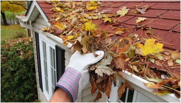 The Unseen Guardians: Foundations And Roofing