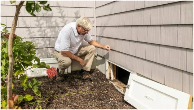 The Silent Threats In Your Walls