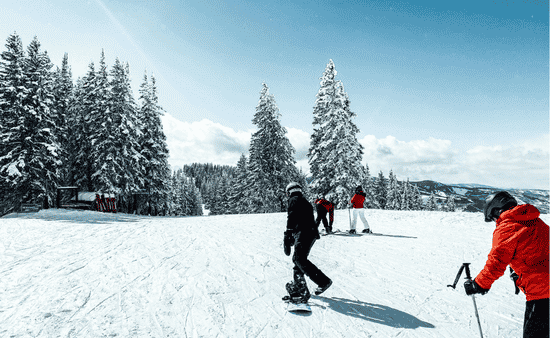Skiing and Snowboarding