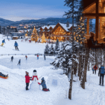 Top 15 Best Winter Activities to Try This Season