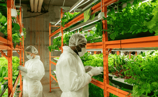 The Real Job of a Fertilizer Company Is Not Just Feeding Plants