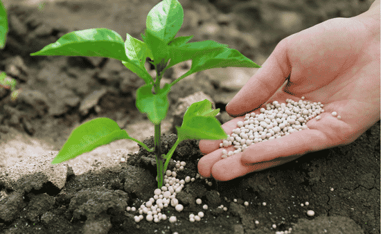 Why Nutrient Mobility Is the Difference Between Good and Great Results