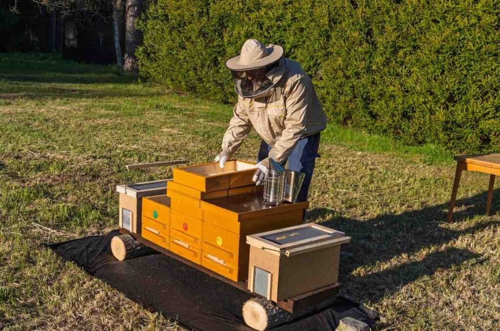 Think About Equipment Transportation