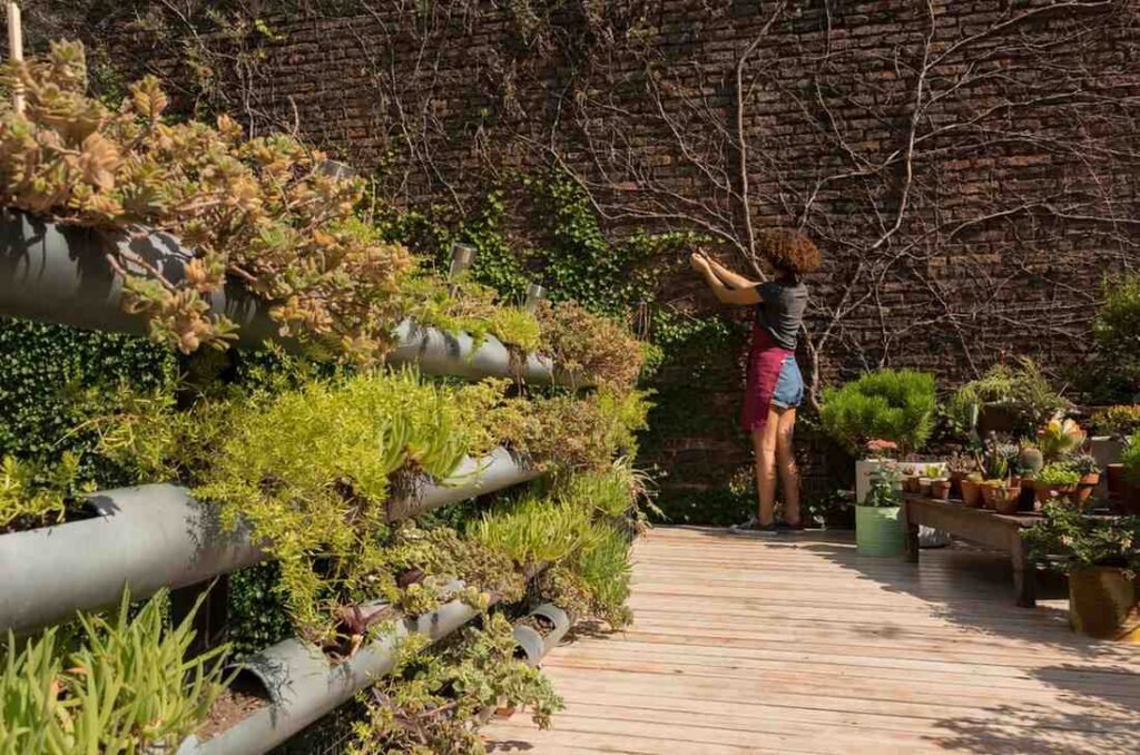 Prioritize Soil Health with Composting