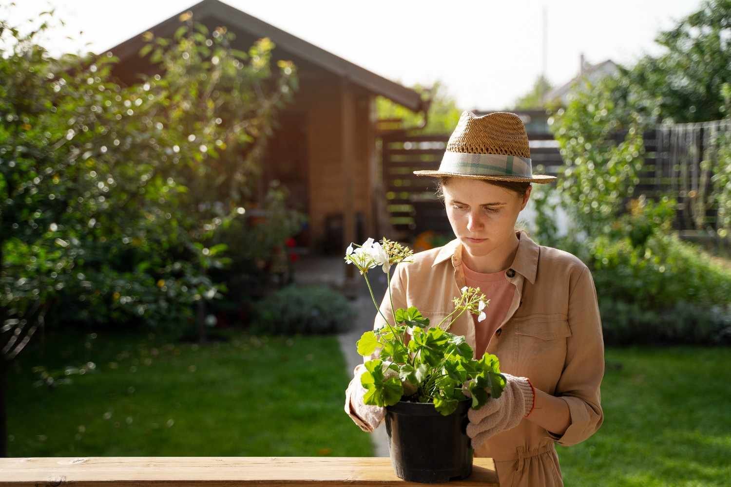 Simple Ways to Create a Greener Backyard Oasis